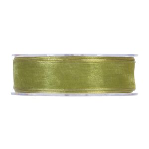 Cinta organza alambrada mm25x20mt- Verde botella 1392-17