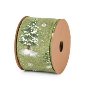 Cinta Sherwood Alambrada mm63x10mt - verde 23066-2607